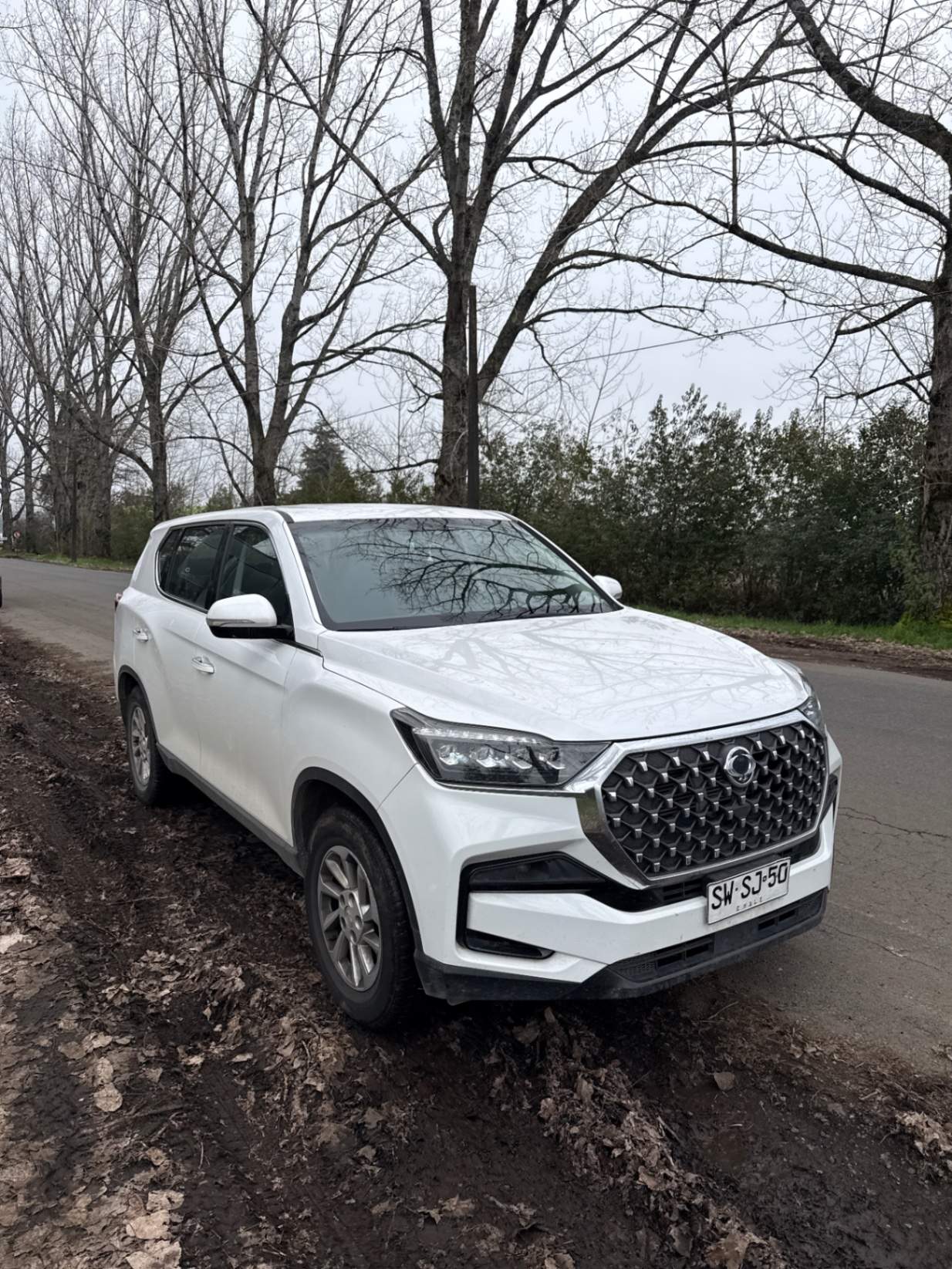 SSANGYONG