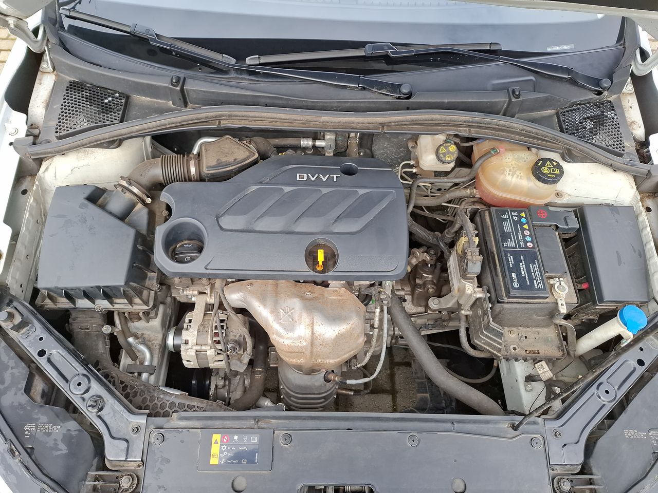 MG 5 — foto 11 de 26