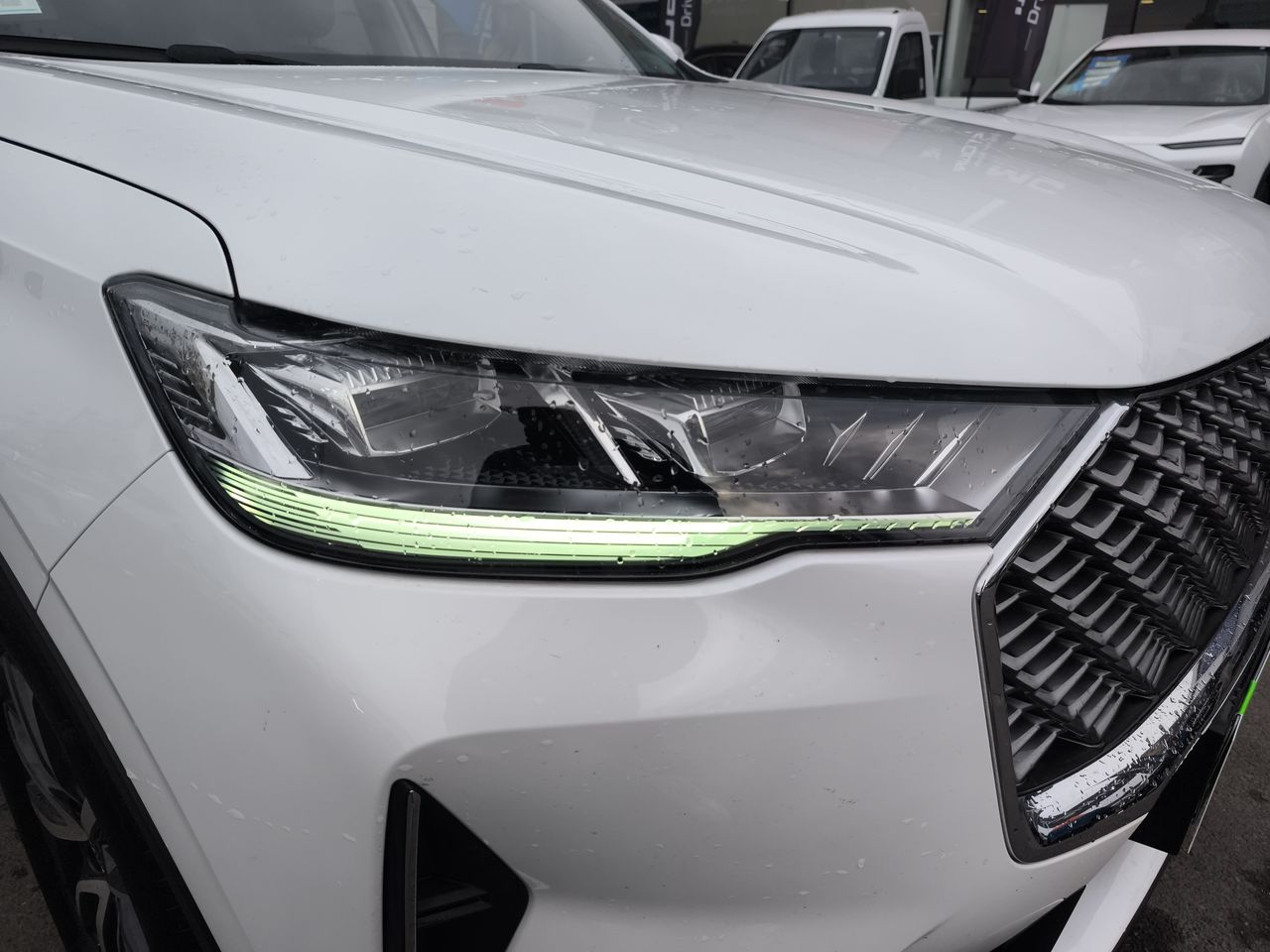 HAVAL - 7