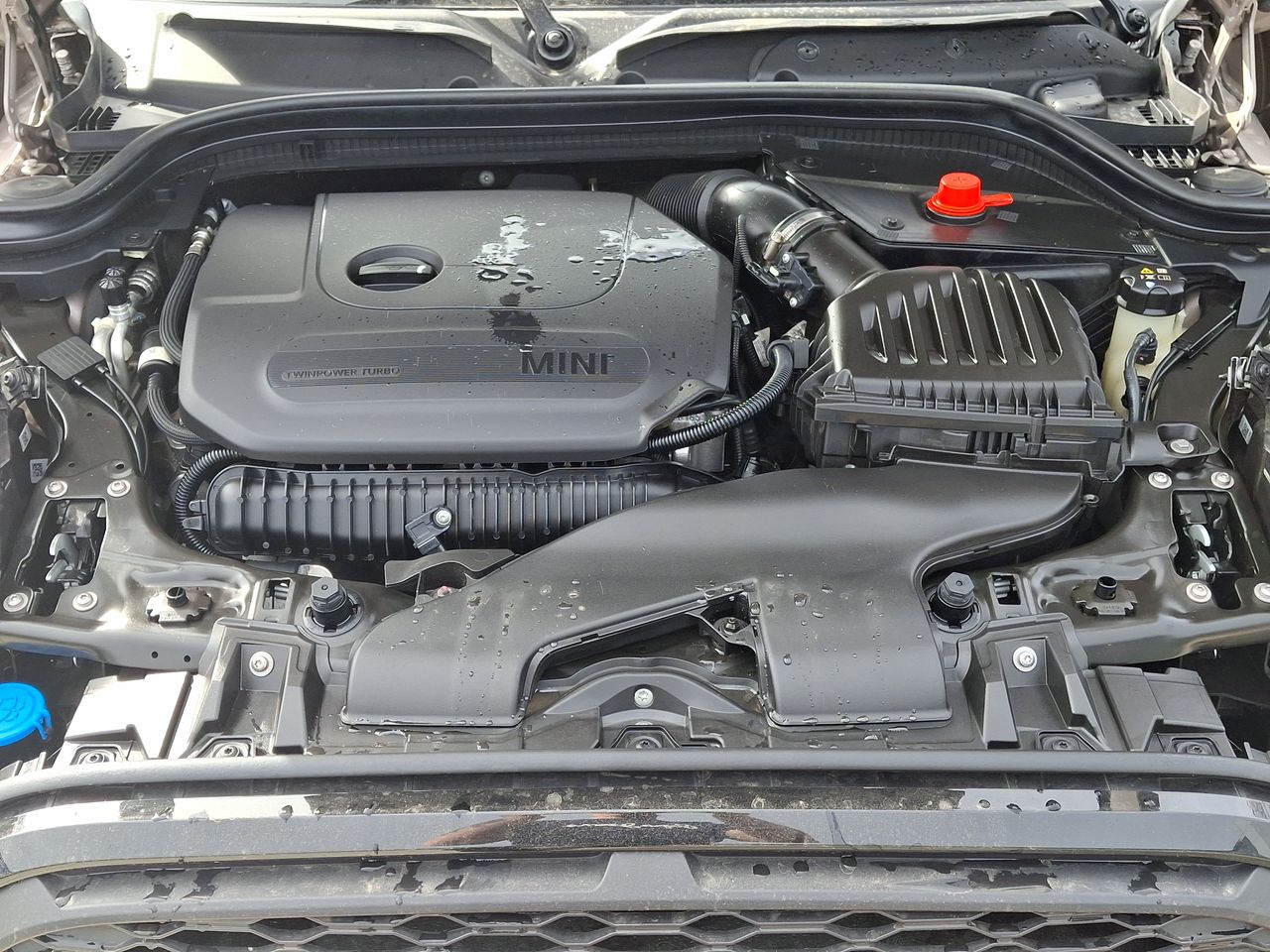 MINI - 18