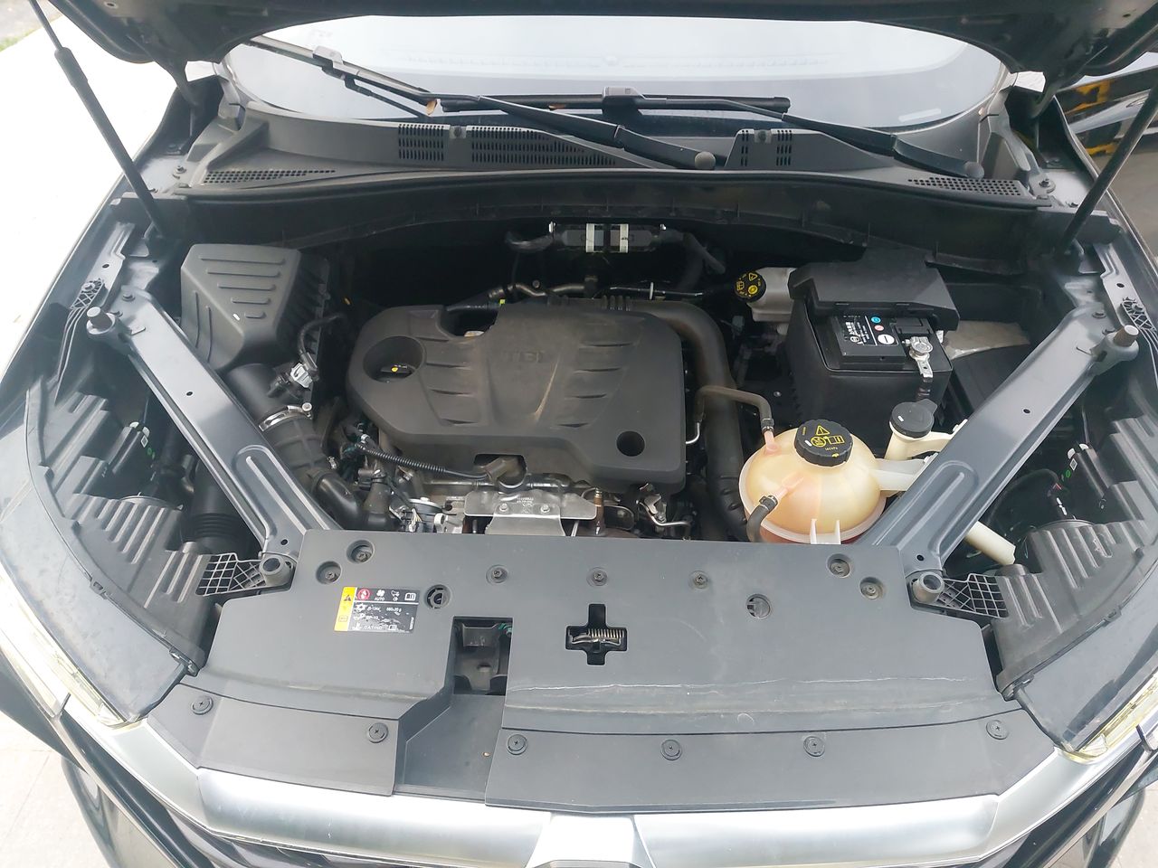 MG Rx5 — foto 9 de 30