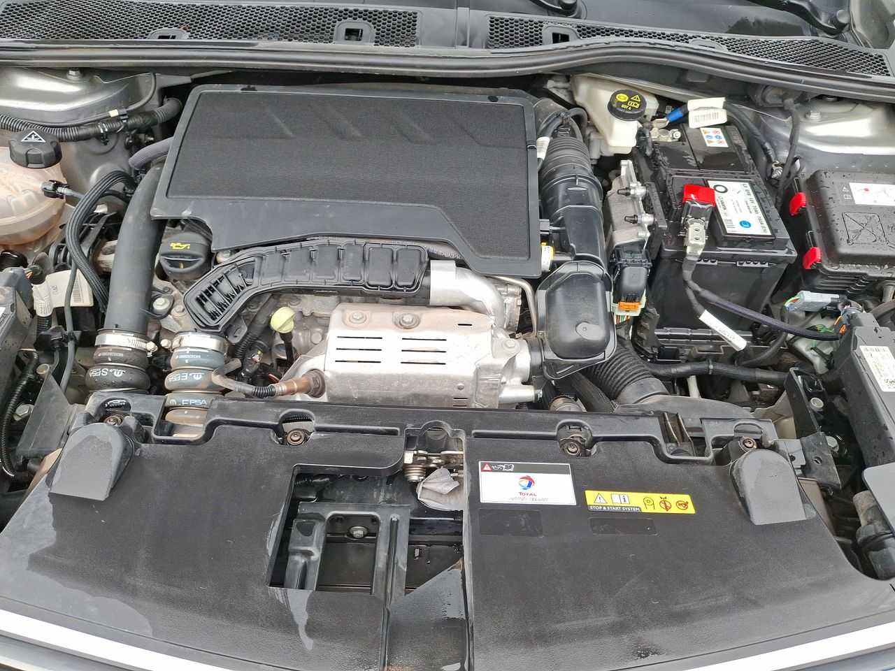 OPEL - 8
