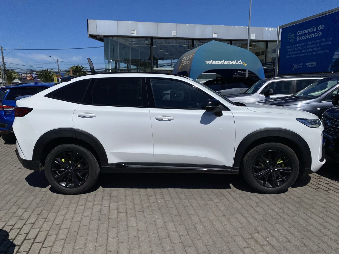 HAVAL - 8