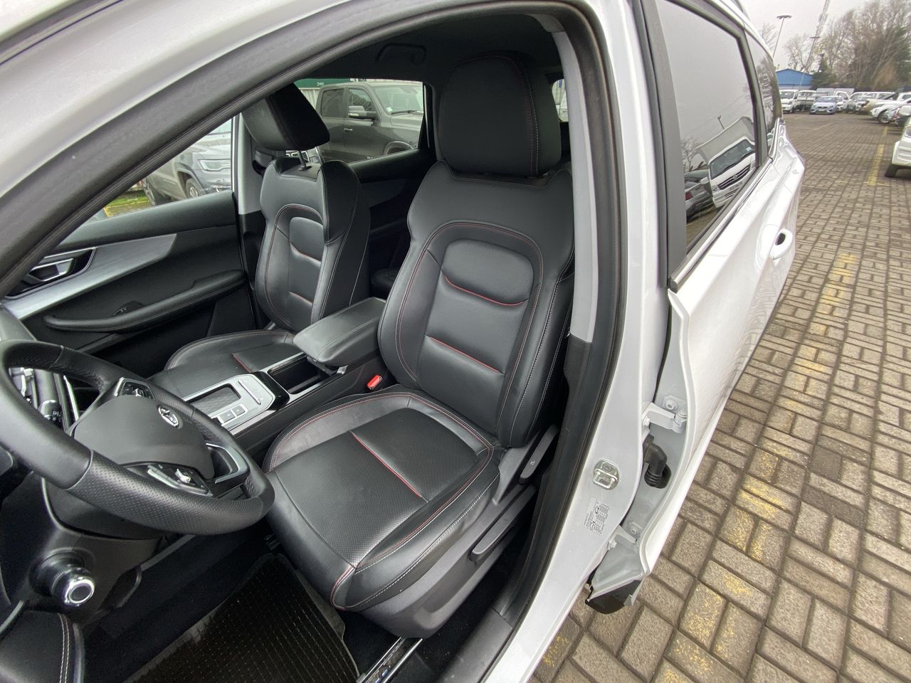 CHERY - 17