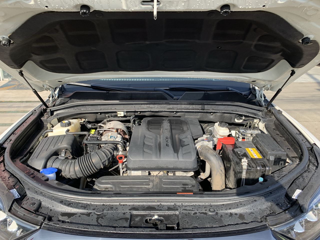 SSANGYONG - 18