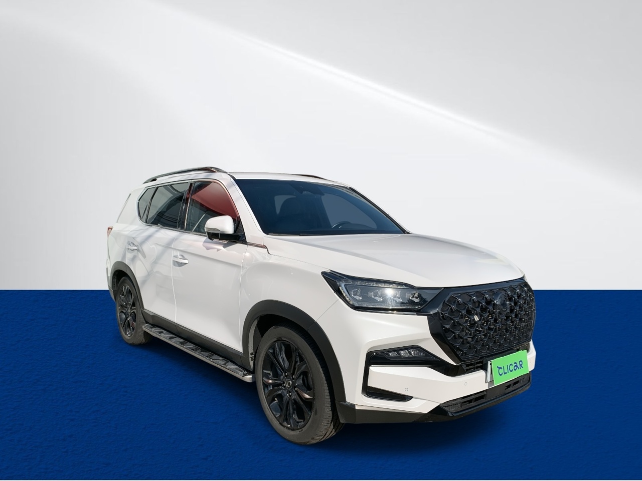SSANGYONG