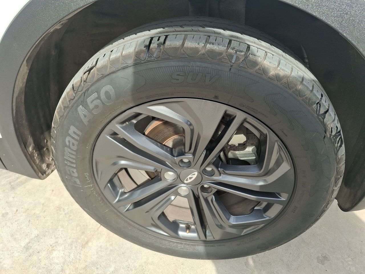 CHERY - 17