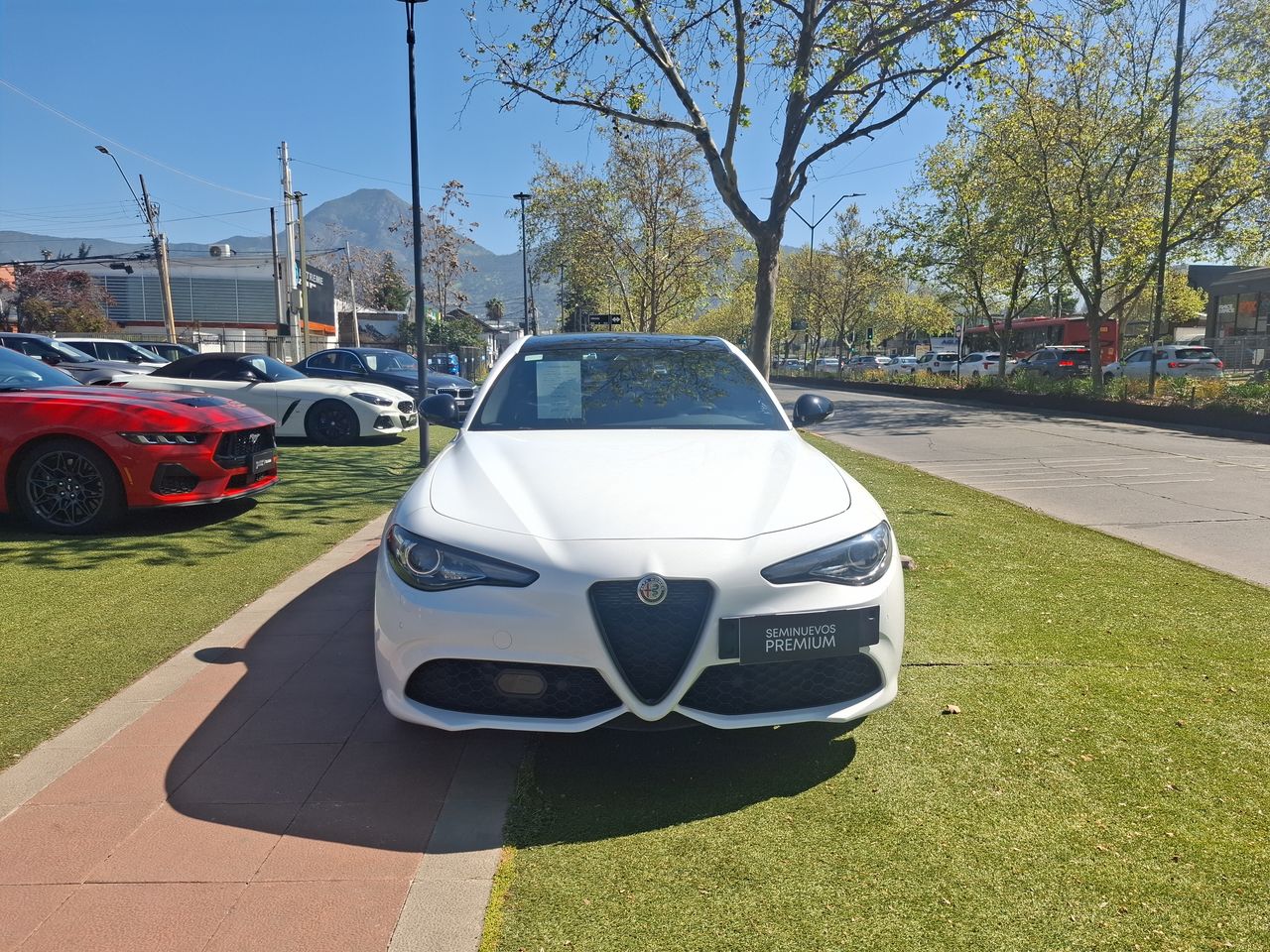 ALFA ROMEO - 8