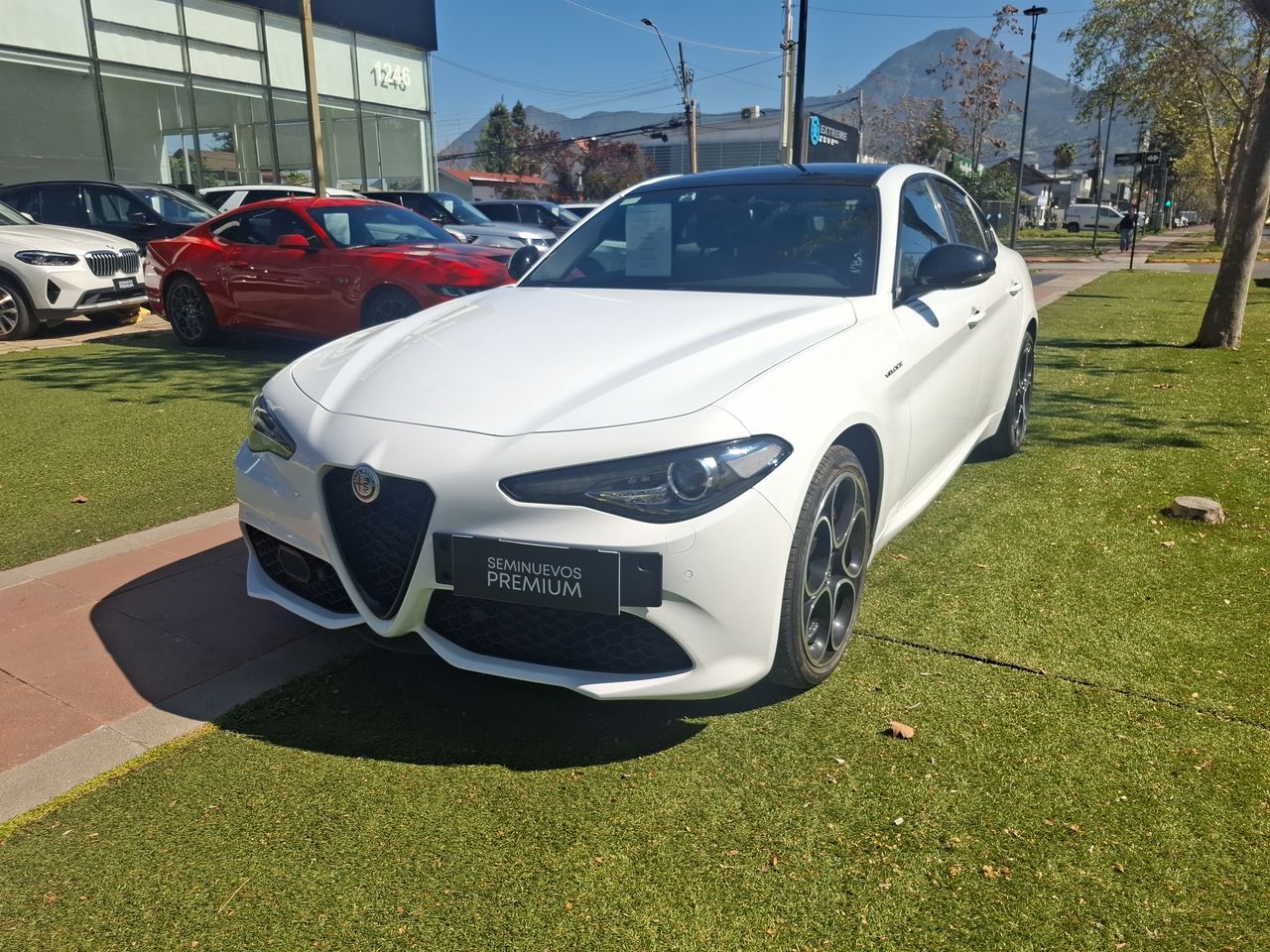 ALFA ROMEO - 14