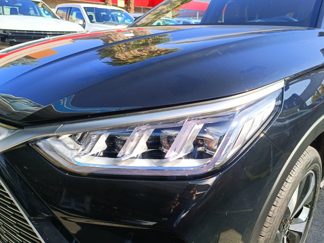 BYD - 19