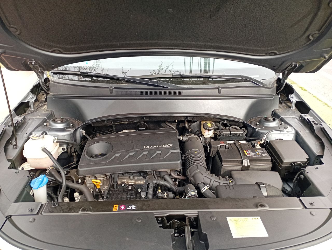KIA Seltos — foto 19 de 37