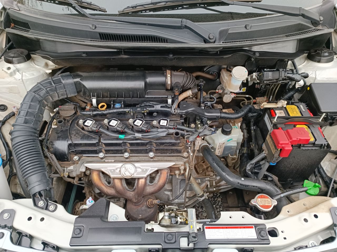 SUZUKI - 18