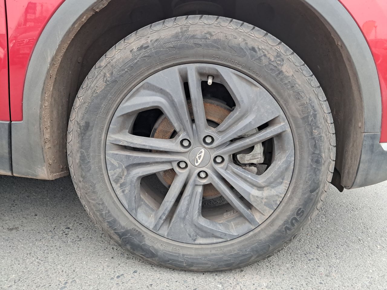 CHERY - 17
