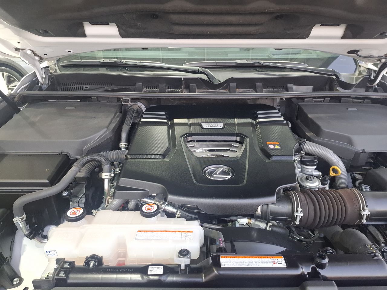LEXUS - 15