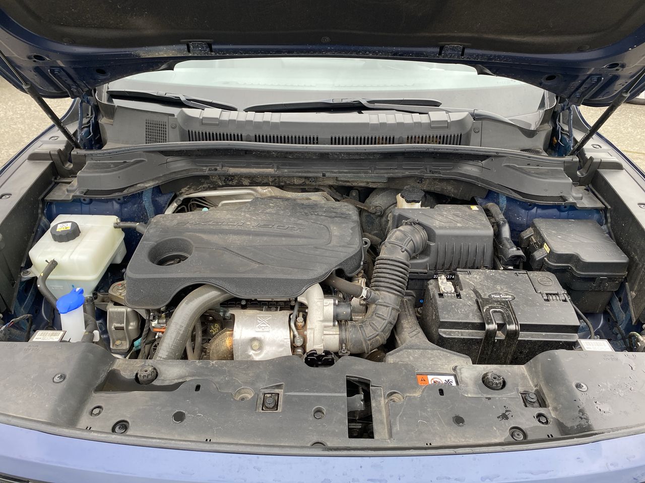 SSANGYONG - 18