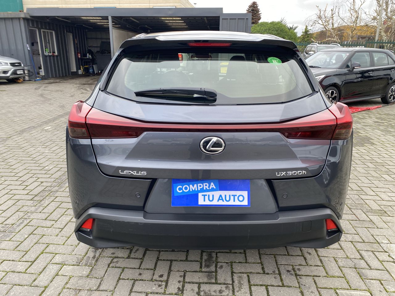 LEXUS - 6
