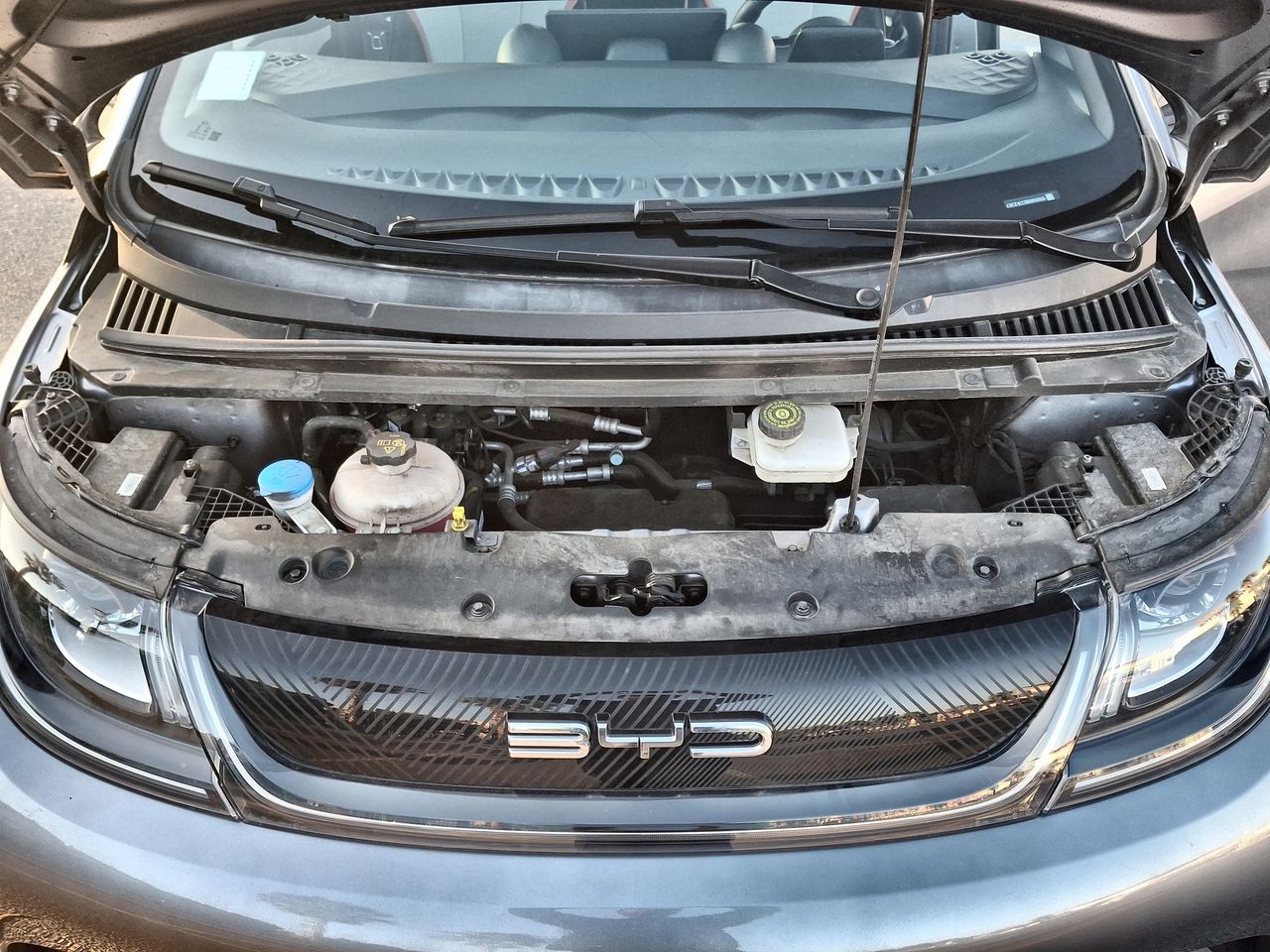 BYD - 18