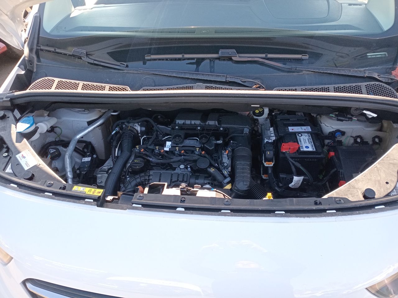 OPEL - 16