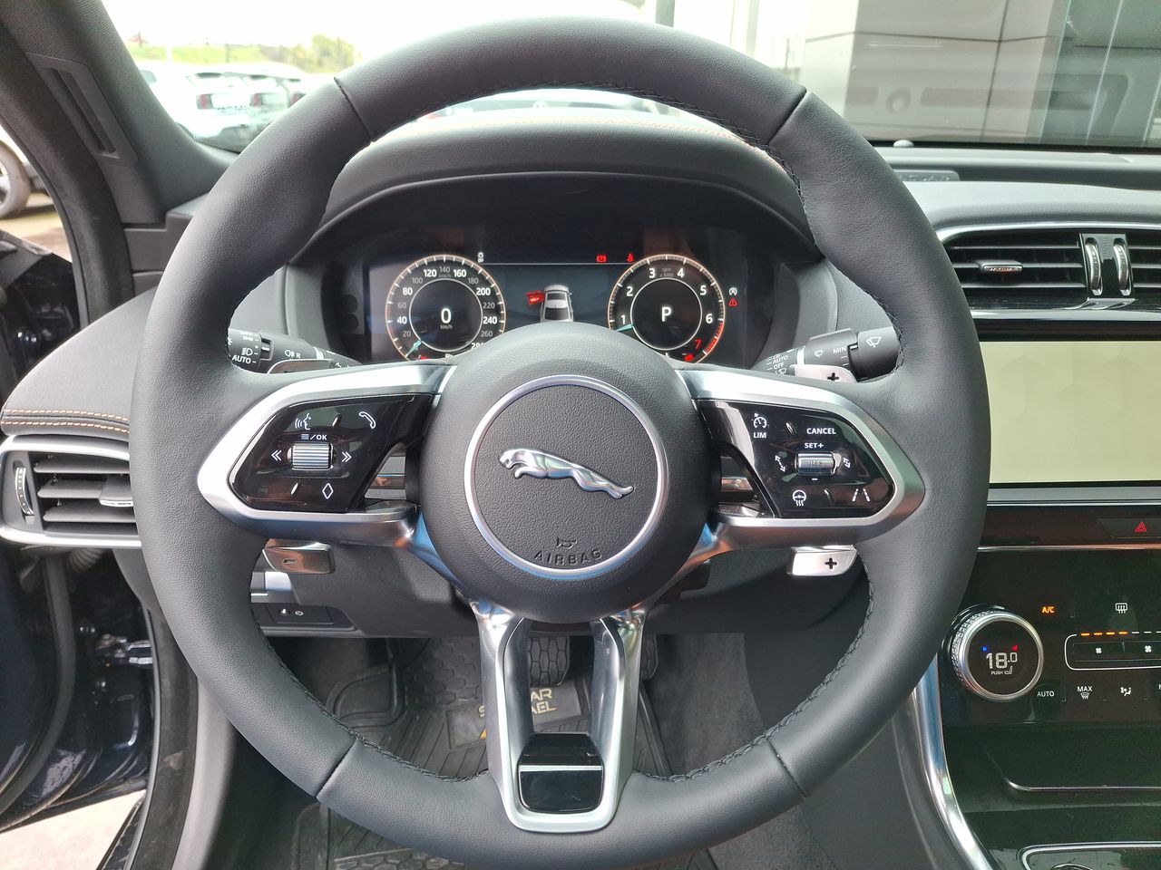 JAGUAR - 25