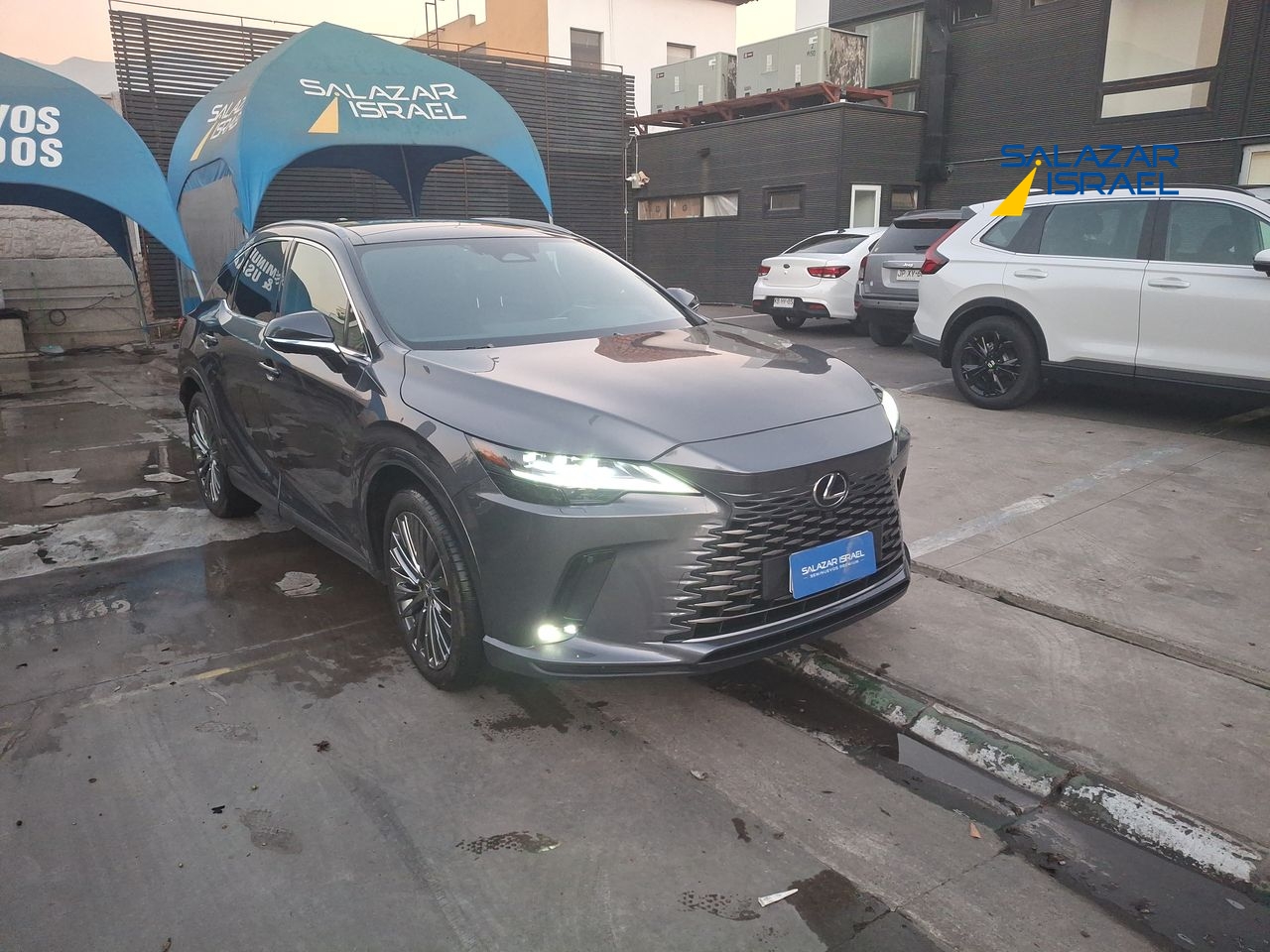 LEXUS