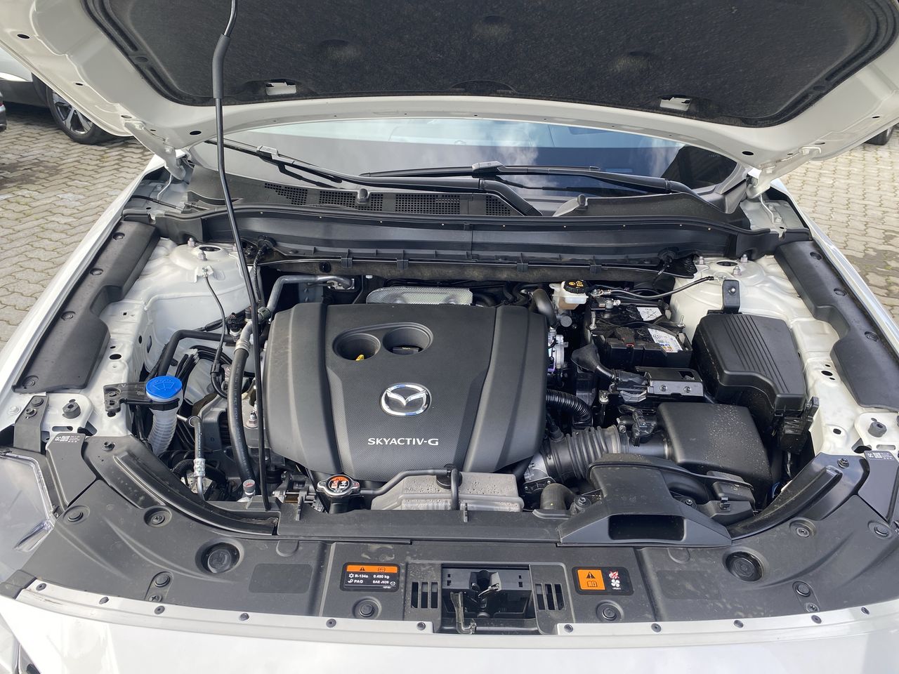 MAZDA - 18