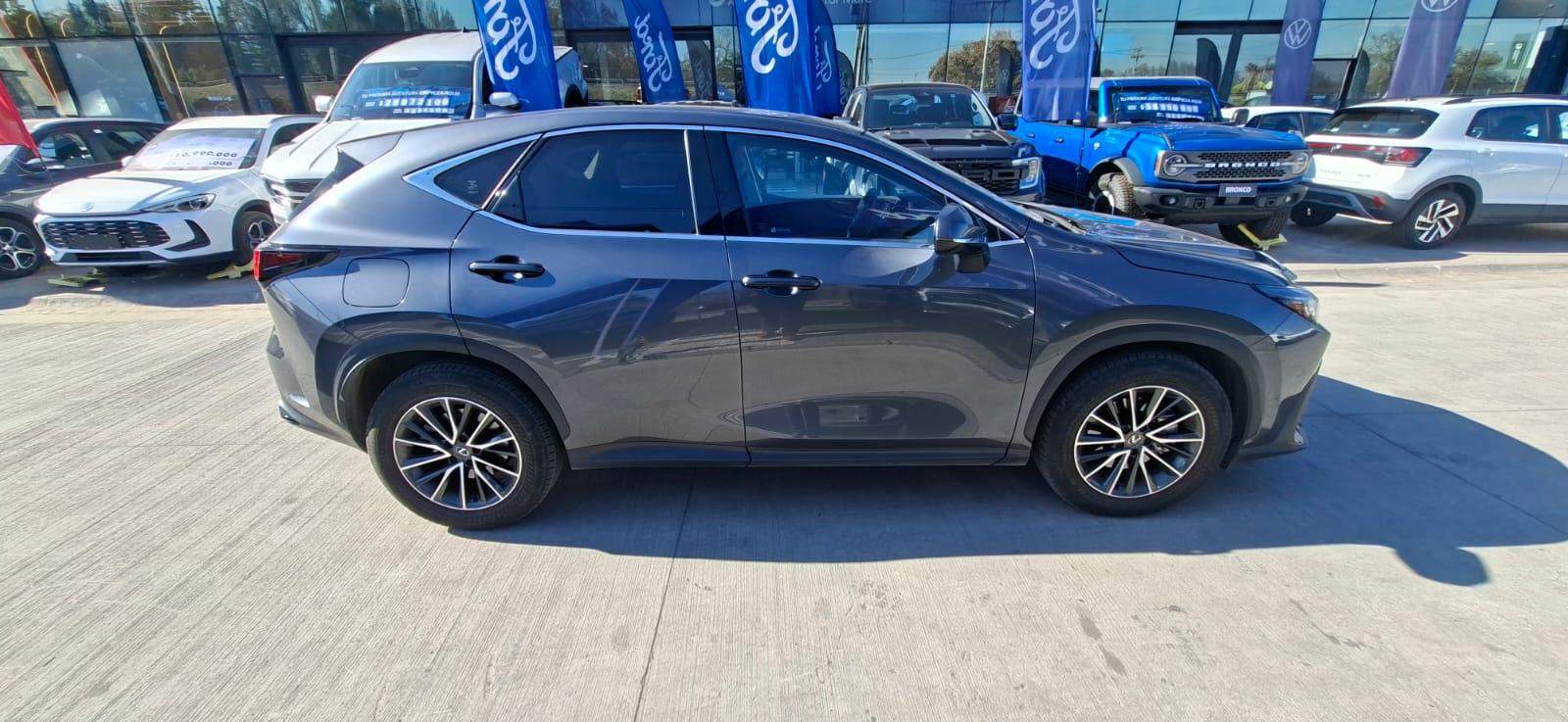 LEXUS - 2