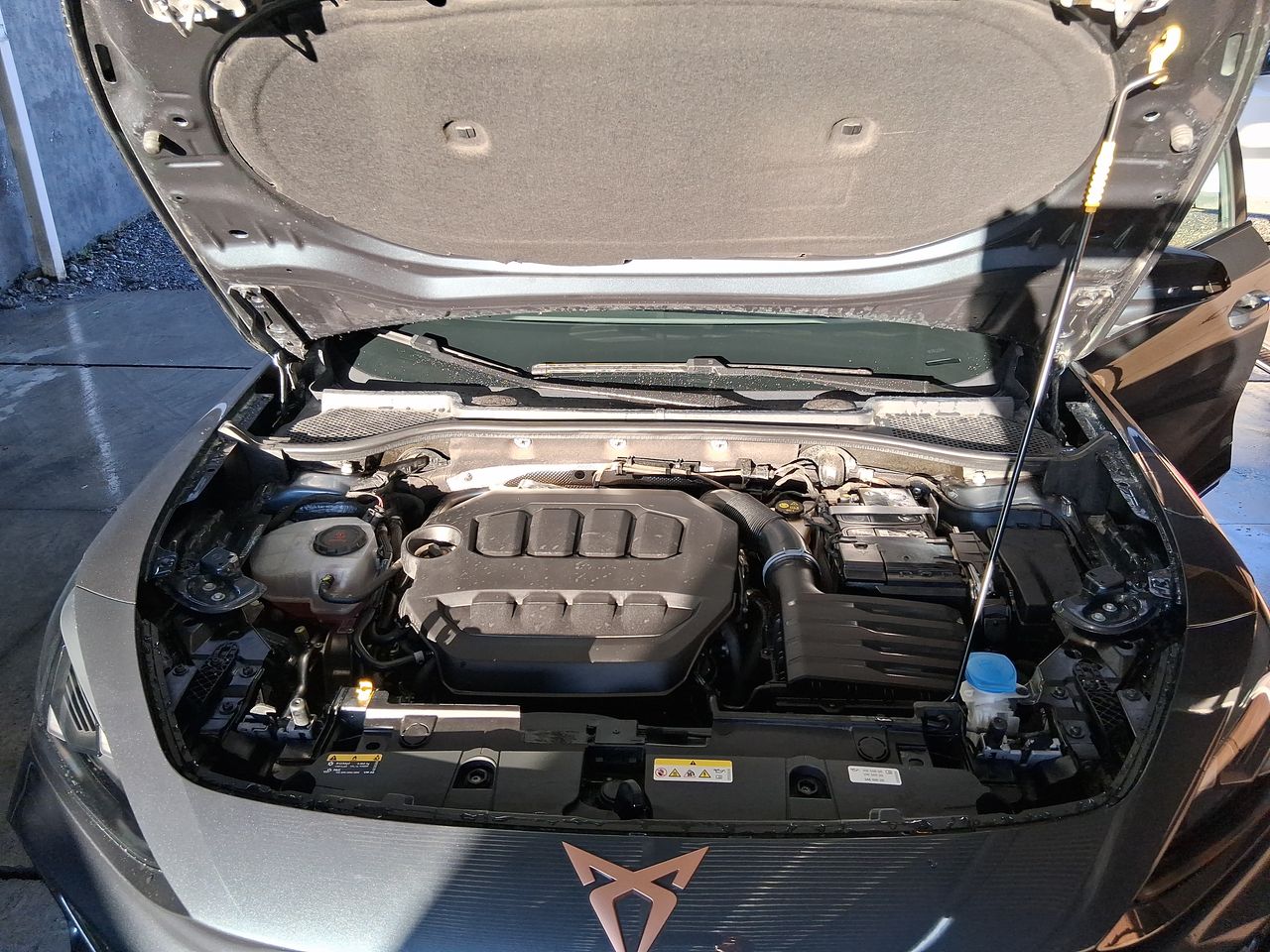 Cupra Formentor — foto 11 de 29