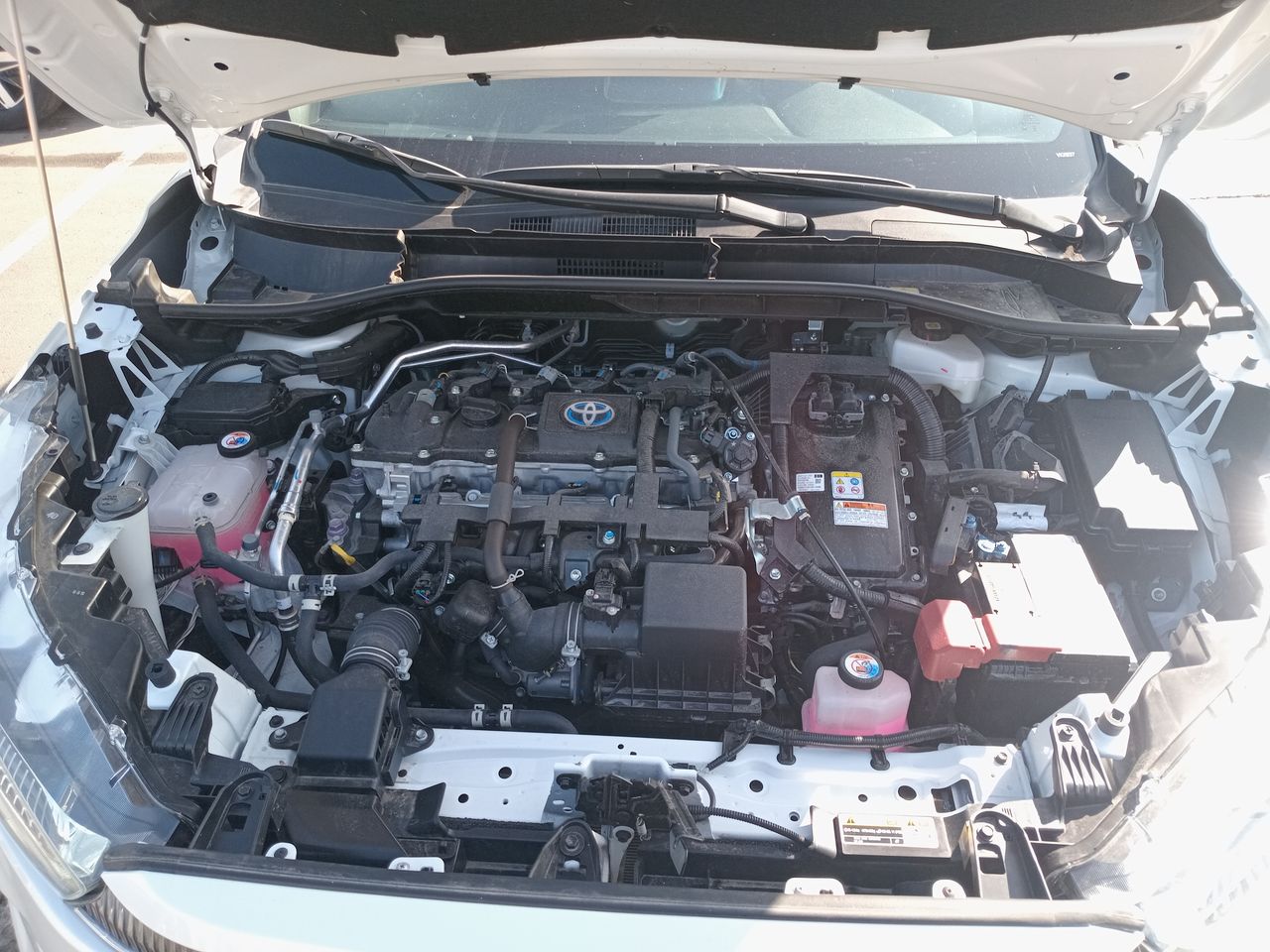 TOYOTA - 8