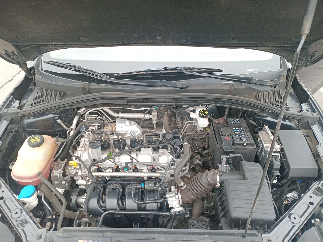 MG 5 — foto 9 de 26