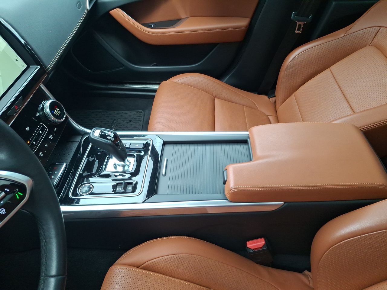 JAGUAR - 20