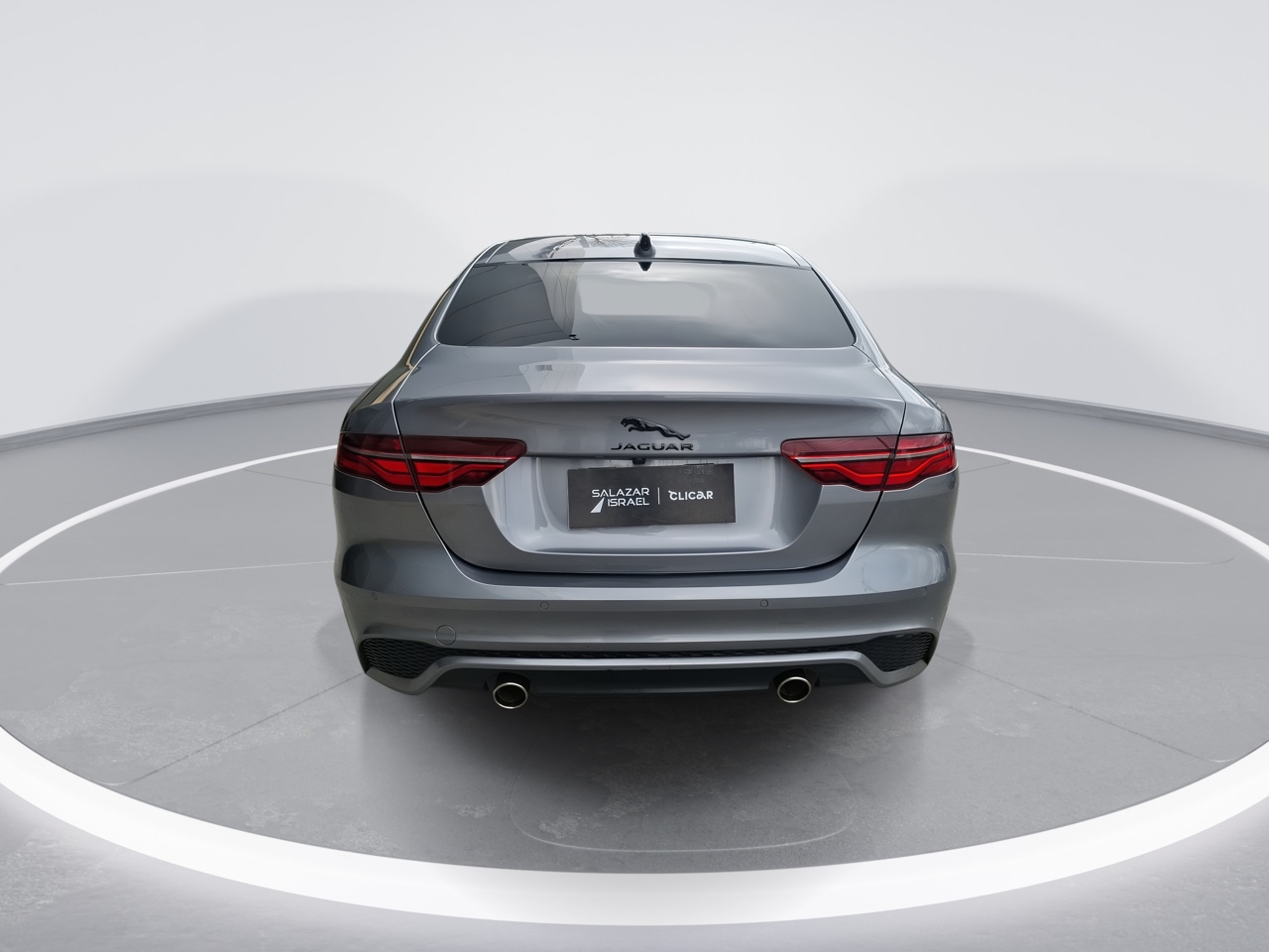 JAGUAR - 6