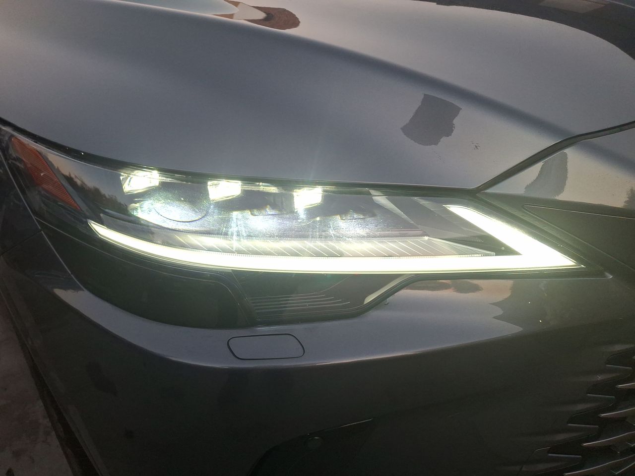 LEXUS - 8