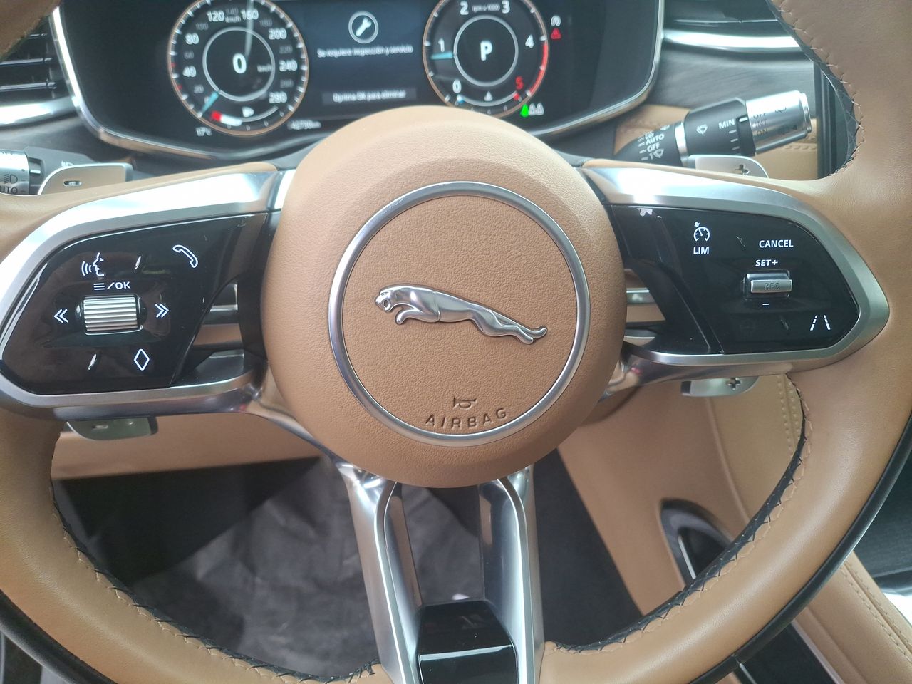 JAGUAR - 24
