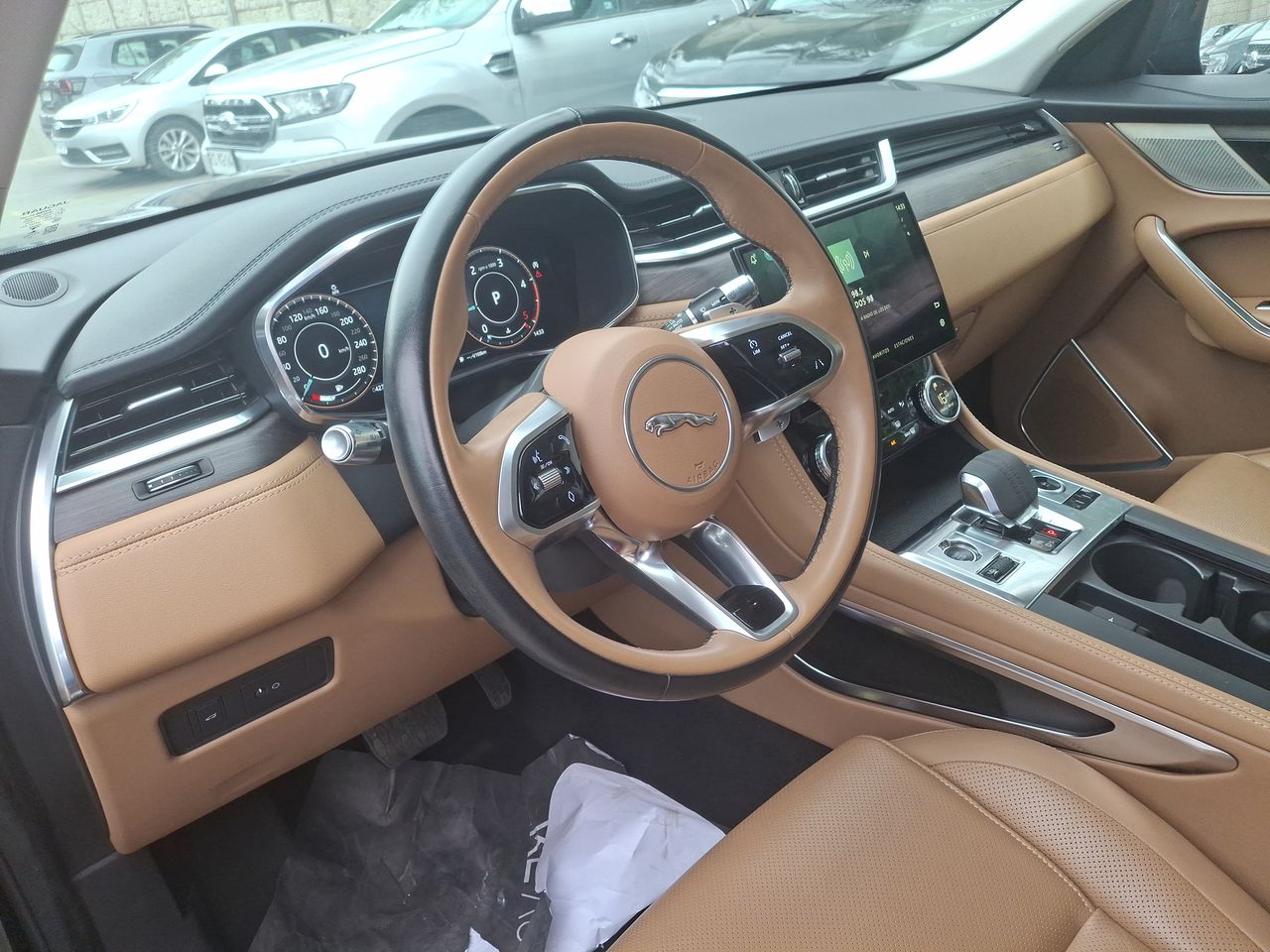 JAGUAR - 30