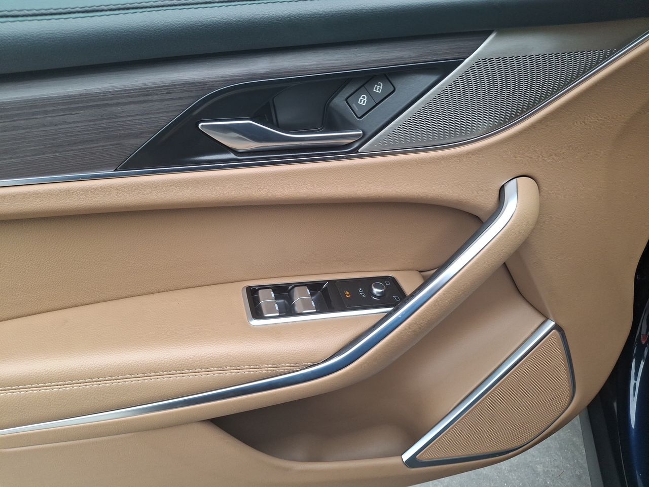 JAGUAR - 20