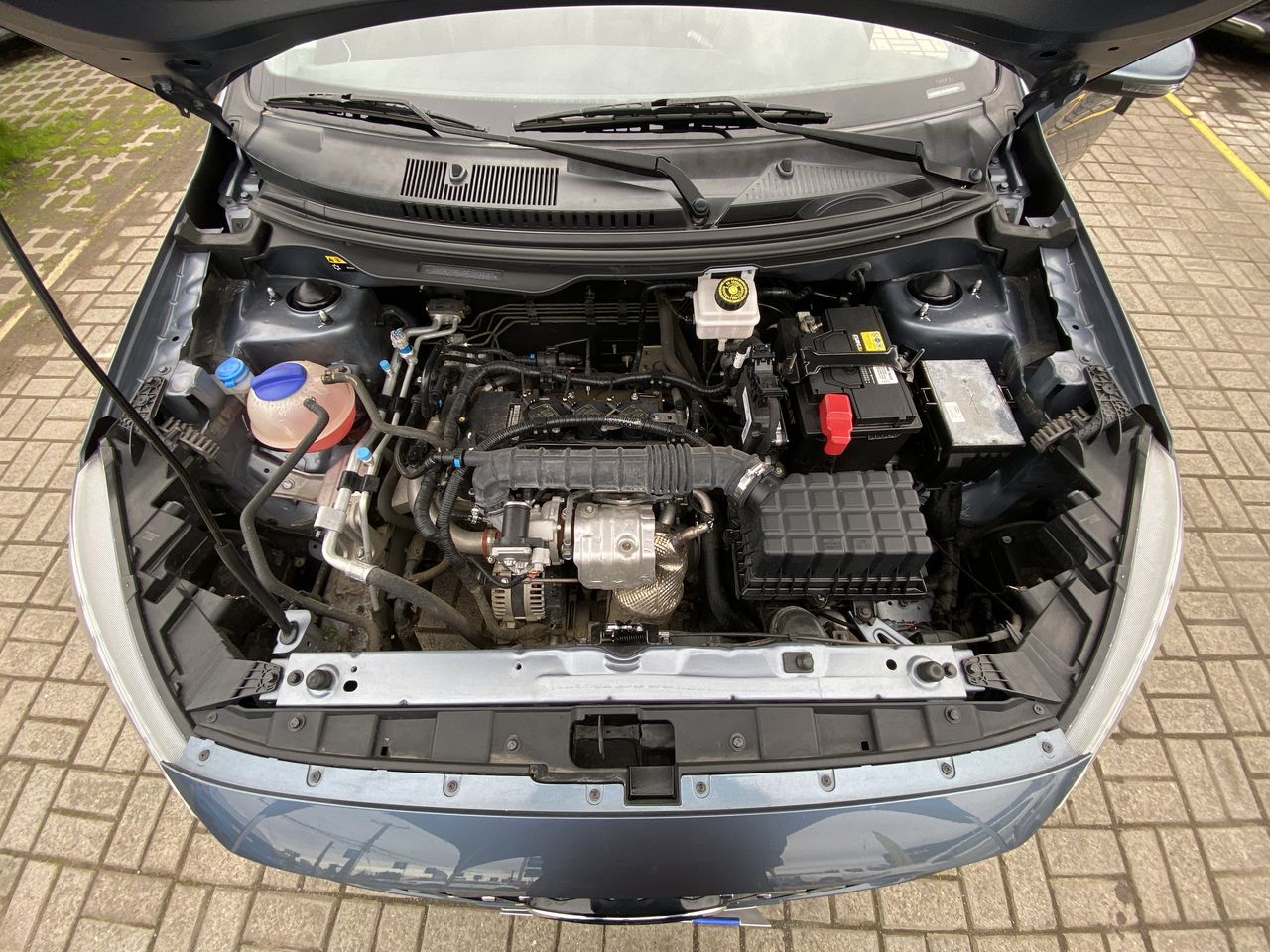 CHERY - 16