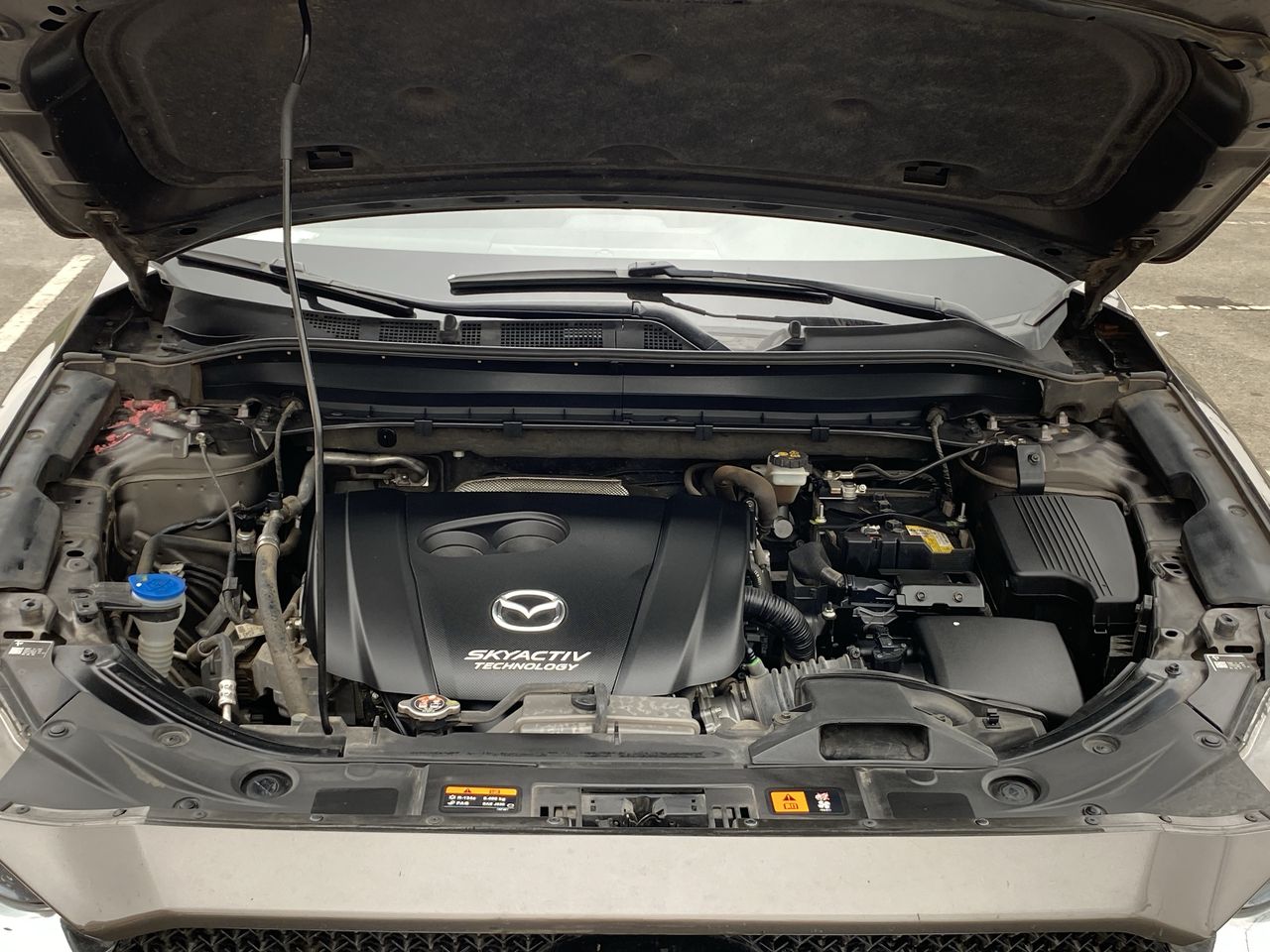 MAZDA - 18