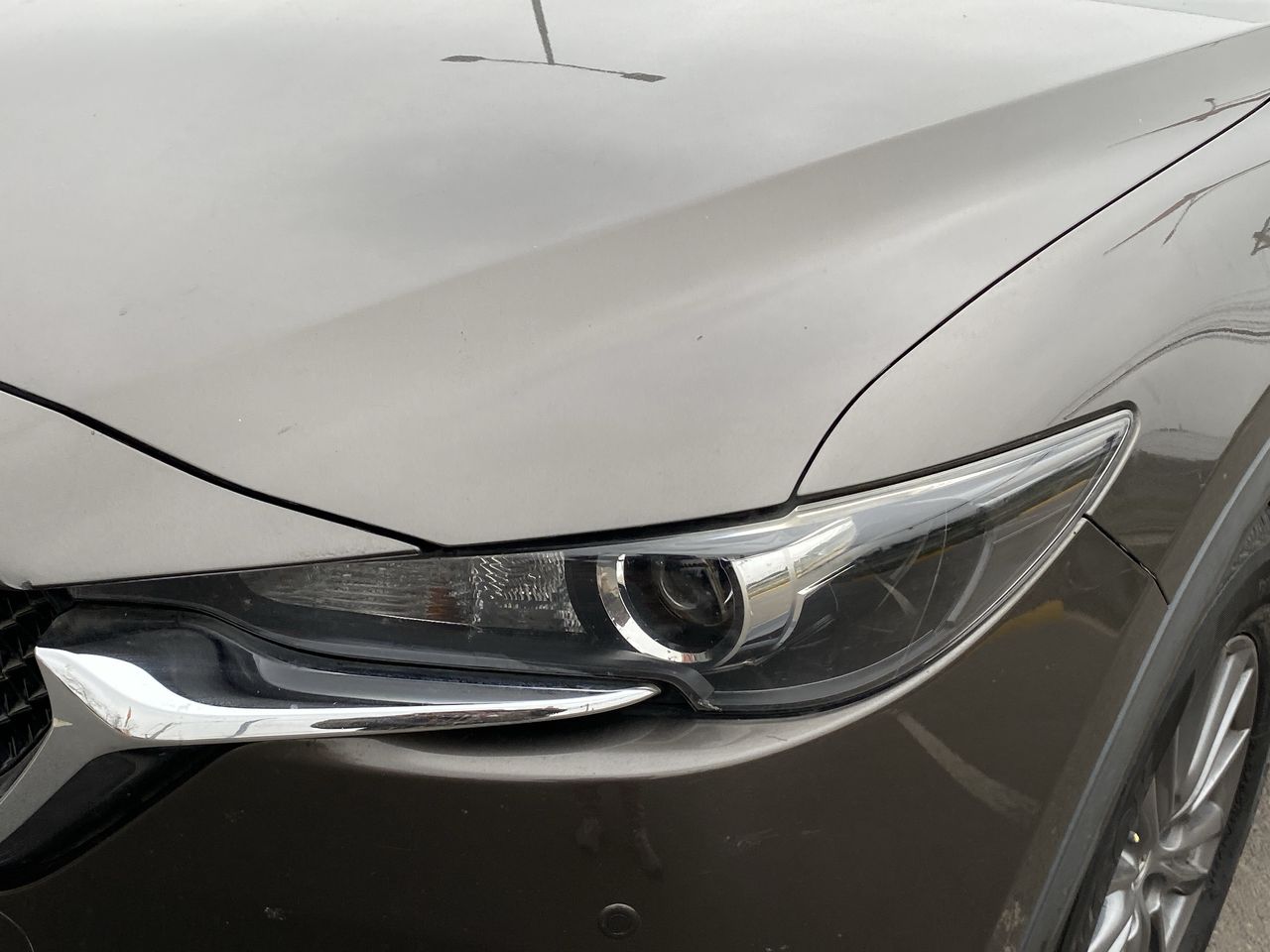 MAZDA - 19