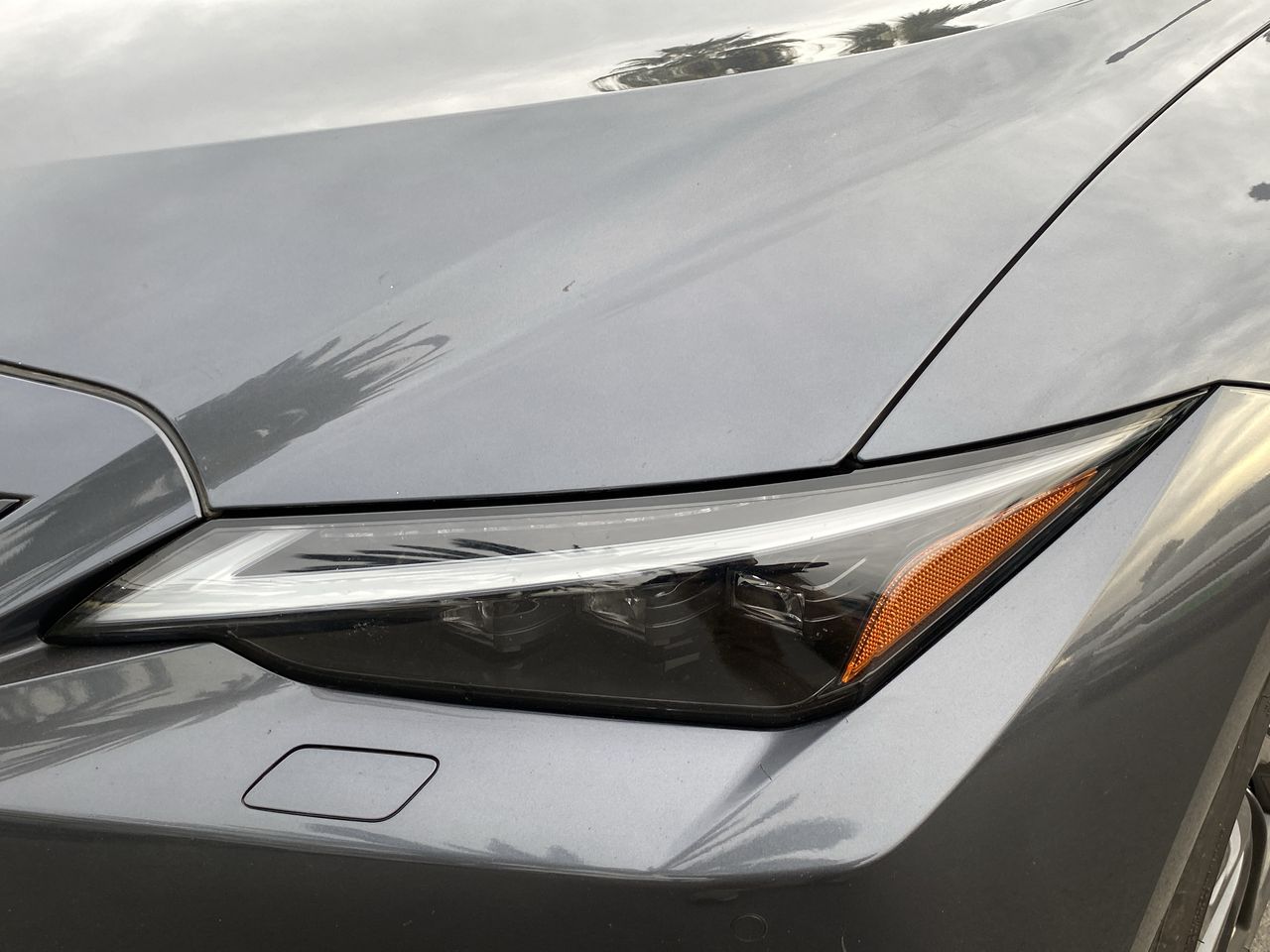 LEXUS - 19