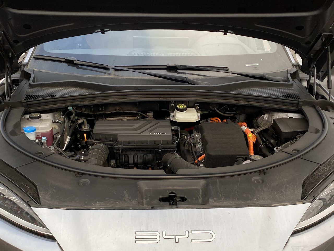 BYD - 18