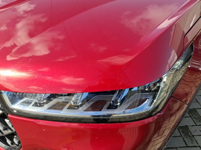 CHERY - 19