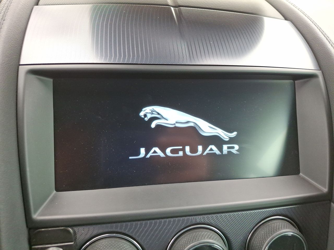 JAGUAR - 21
