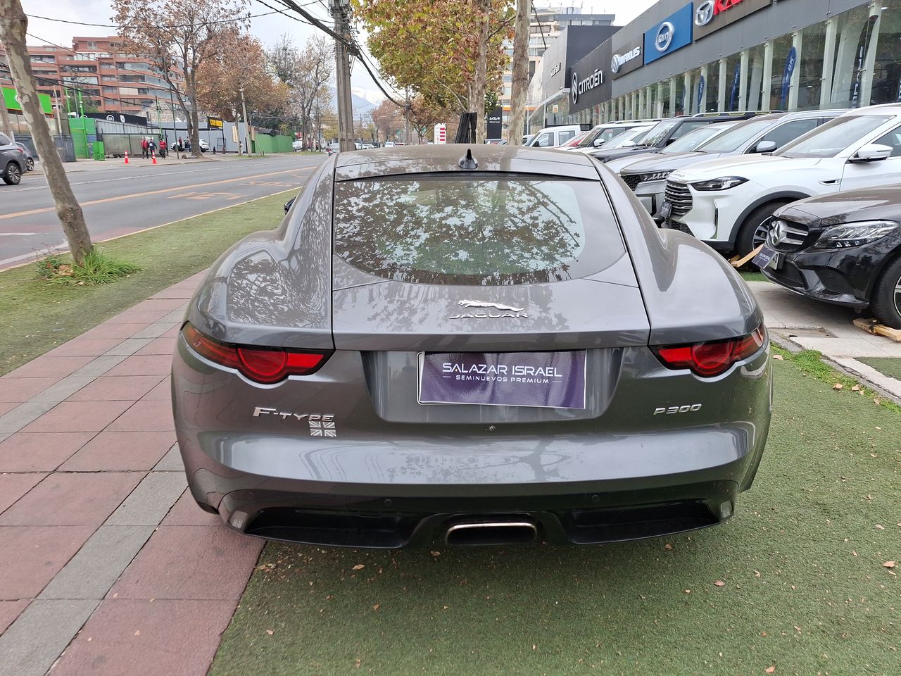 JAGUAR - 6