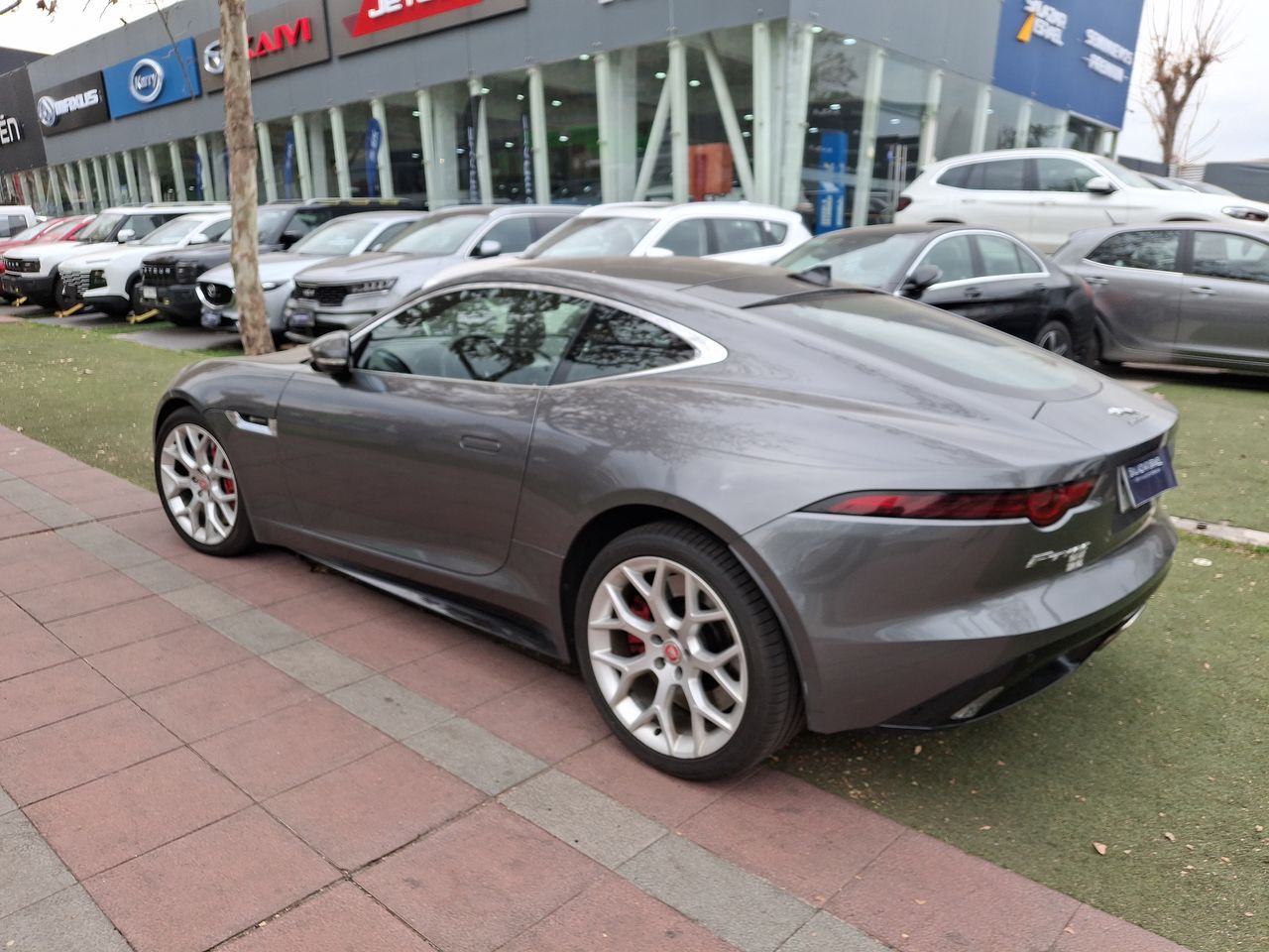 JAGUAR - 7
