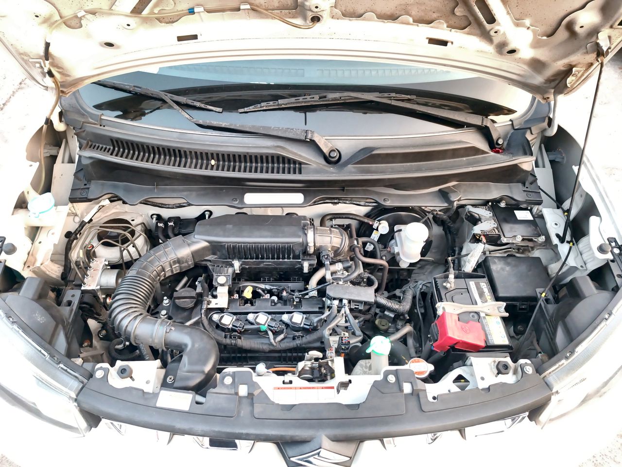 SUZUKI - 18