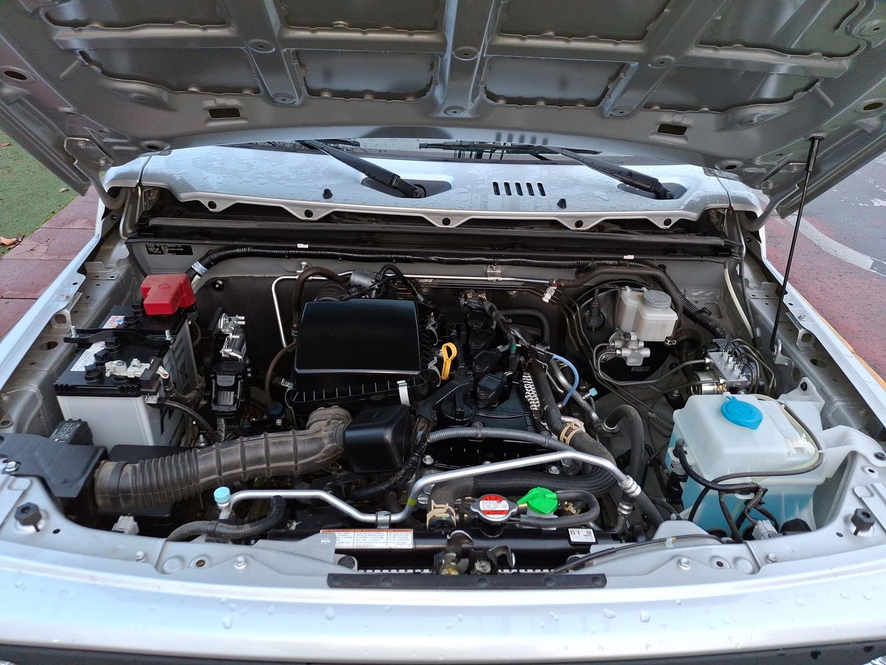 SUZUKI - 18