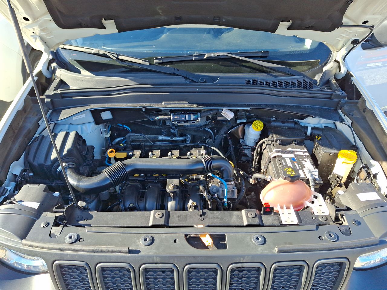 JEEP - 34