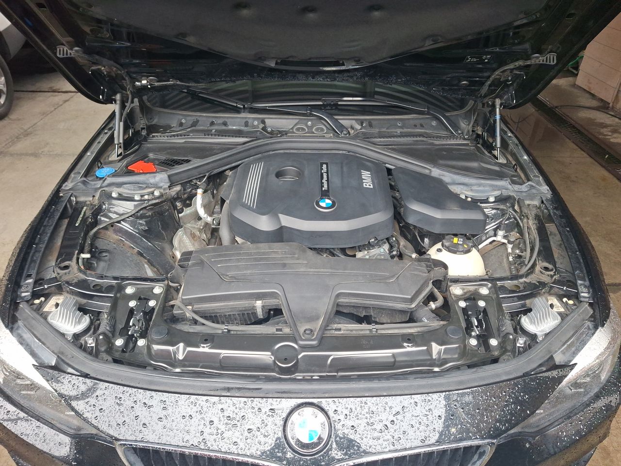BMW - 36