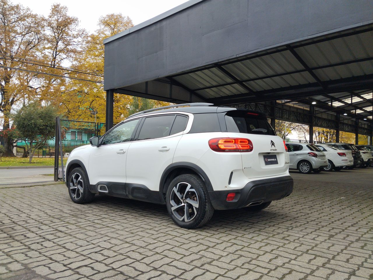 CITROEN - 10