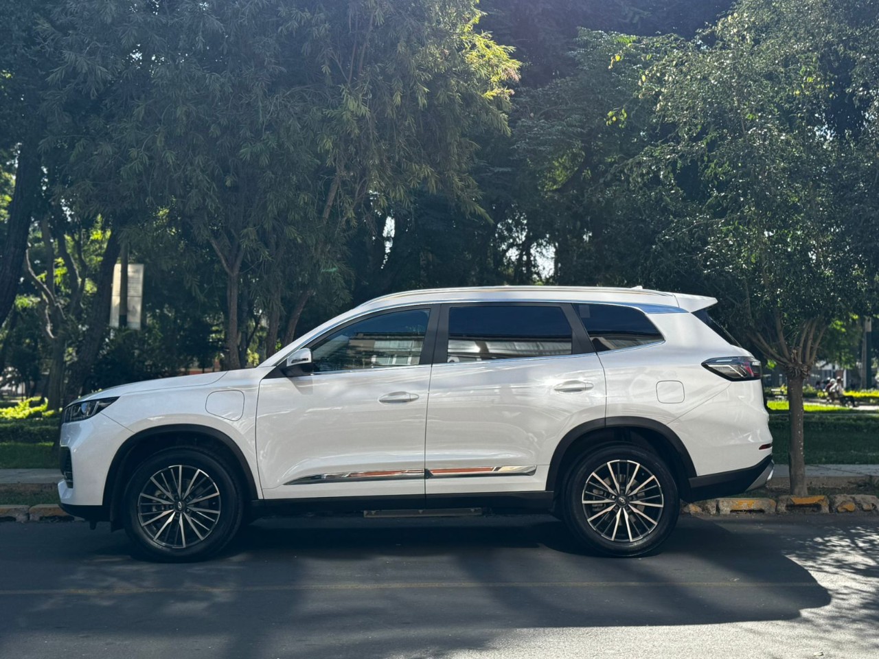 CHERY - 3